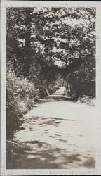 Roadway between Mark West Springs and Burke's Sanitorium