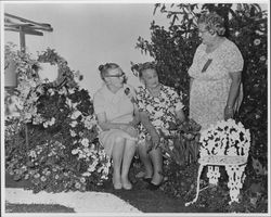 Women at the Graton Flower Show, Graton, California, about 1975