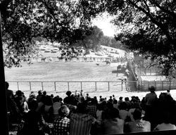 Rodeo at Palamino Lakes