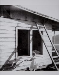 Nancy C. Evans paints outside her future bedroom window, Petaluma, California, December 1947