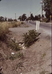 Unidentified Sonoma County road near a railroad crossing, 1970s