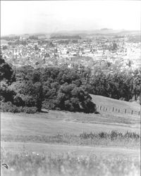 Panoramic view of Petaluma