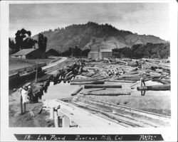 Log pond, Duncans Mills, California