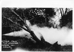 Steam from the Geysers, Sonoma County, California