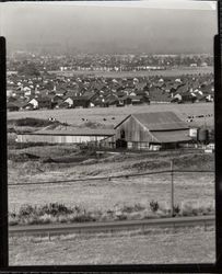 Unidentified Sonoma County barn, Petaluma, 1980s