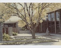 Santa Rosa Central Library courtyard, 211 E Street, Santa Rosa, California, About 1972