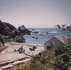 Stillwater Cove, 1969