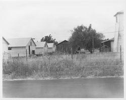 Sonoma County chicken coops