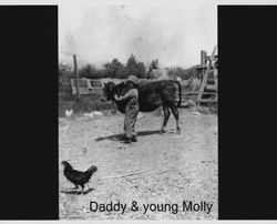 Russell Nissen with a calf, Petaluma, California, about 1918