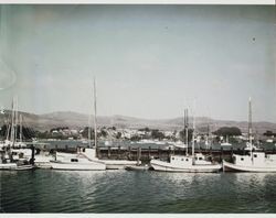 Bodega Bay Harbor boat dock, Westshore Road, Bodega Bay, California