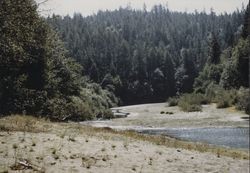 Gualala RIver at the confluence of the North and South forks, September 1972