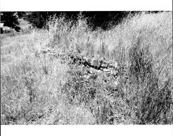 Remains of a basalt tailings foundation originally part of a barn located at 1480 Los Olivos Road, Santa Rosa, California, 1987