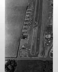 Aerial view of Petaluma Sky Ranch and surrounding area, Petaluma, California, 1973