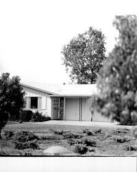 Single story homes in Larkfield Maples housing development