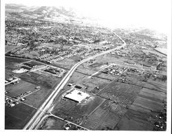 Aerial view of Coddingtown area, Santa Rosa, California, 1963