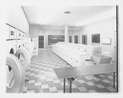 Triangle Speed-Wash coin operated laundry, Santa Rosa, California, 1959