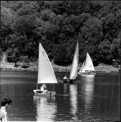 Sailboats on Lake Ralphine, Santa Rosa, California, 1970