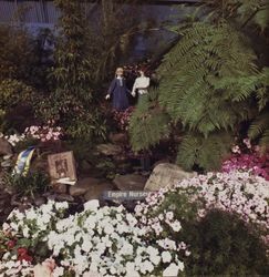 Empire Nursery display at the Hall of Flowers at the Sonoma County Fair, Santa Rosa, California, 1986