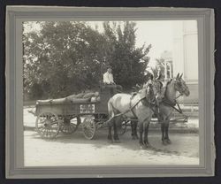 H. Rudolph Wood and Coal wagon, Petaluma, California, 1911