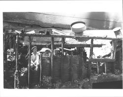 Aftermath of June 21, 1942 fire at Rex Hardware when it was at 5 Main Street, Petaluma, California