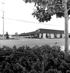 Offices of Codding Enterprises, Santa Rosa, California, May 26, 1971