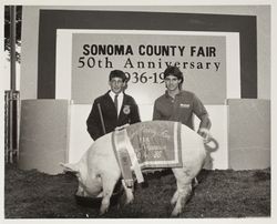 Curt Nommsen and his FFA Champion hog at the Sonoma County Fair, Santa Rosa, California, 1986