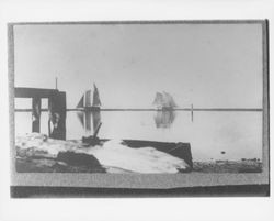 Scow schooners loaded with hay, San Francisco, California, 1895