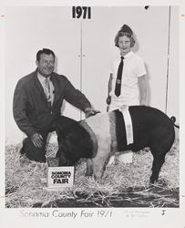 Grand Champion hog at the Sonoma County Fair, Santa Rosa, California, 1971