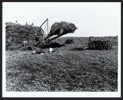 Harvesting hay near Petaluma