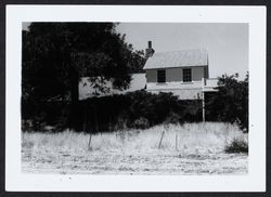 Pena Adobe