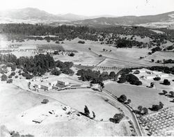 Aerial view of the County Hospital and Oak Knoll Sanitarium, Santa Rosa, California, 1941