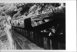 Construction of Brown's Canyon trestle, Occidental, California, 1876