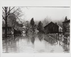 Streets of Guerneville during flood of Dec. 1937