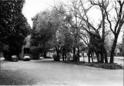 Rear view of Marvin, Oldham & Smith houses located at 714, 720 & 726 Mendocino Avenue, Santa Rosa, California, May 5, 1996