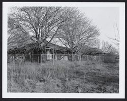 Carrillo Adobe