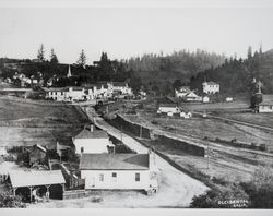 View of the town of Occidental, California, about 1904