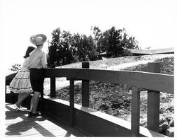 Girls posing around the Petaluma Adobe prior to the Old Adobe Fiesta, Petaluma, California, 1964