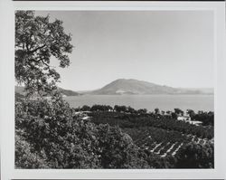 Clear Lake, Lake County, California, 1977