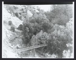 Bridge over the creek near The Geysers