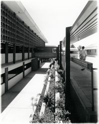 View of the loading dock of the Sonoma County library looking south