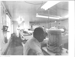 Testing laboratory at Petaluma Cooperative Creamery, Petaluma, California, 1963