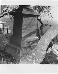 Views of Canfield Cemetery, Bloomfield, California, 1973