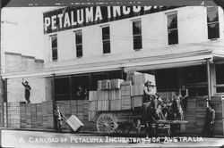 Carload of Petaluma incubators for Australia