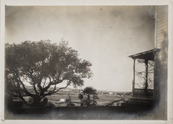 View of the Petaluma River from the home of George P. McNear, Petaluma, California, about 1900