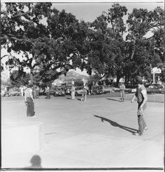 N C I Grungies baseball team, Santa Rosa, California, 1975