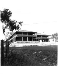 View of the Old Adobe from Casa Grande Road, Petaluma, California, about 1965