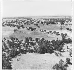 Aerial view of sewage treatment pond at the Windsor sewage plant, Windsor, California, 1972