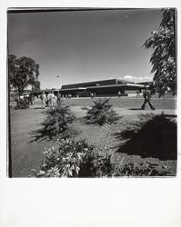 Plover Library, Santa Rosa, California, 1971