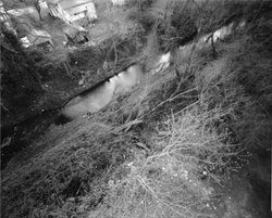 Santa Rosa Creek at flood stage, Santa Rosa, California, 1963