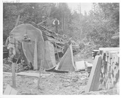 Felled redwood tree on Hendren property